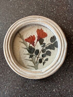 Pressed Flower Wall Art in Red and Green - Framed Home Art